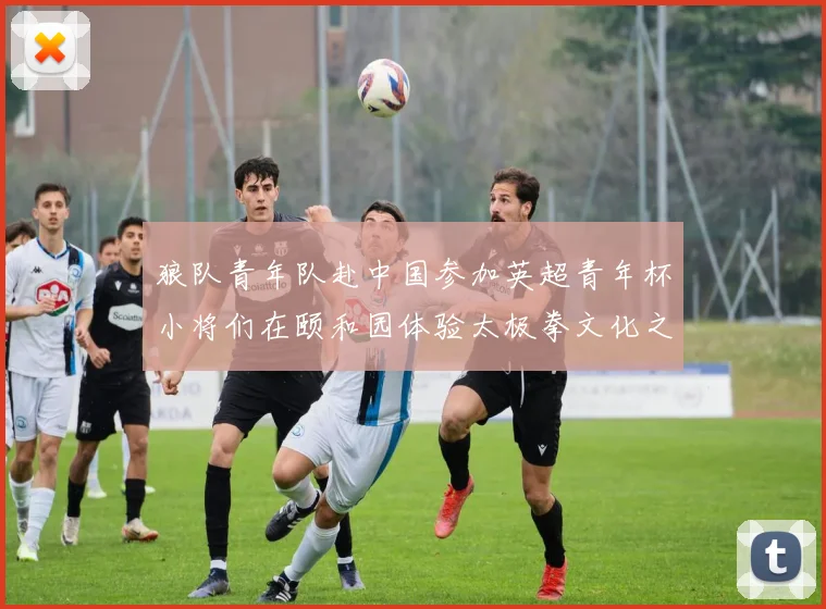 狼队青年队赴中国参加英超青年杯小将们在颐和园体验太极拳文化之旅