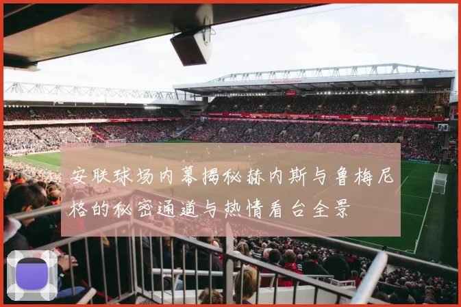 安联球场内幕揭秘赫内斯与鲁梅尼格的秘密通道与热情看台全景
